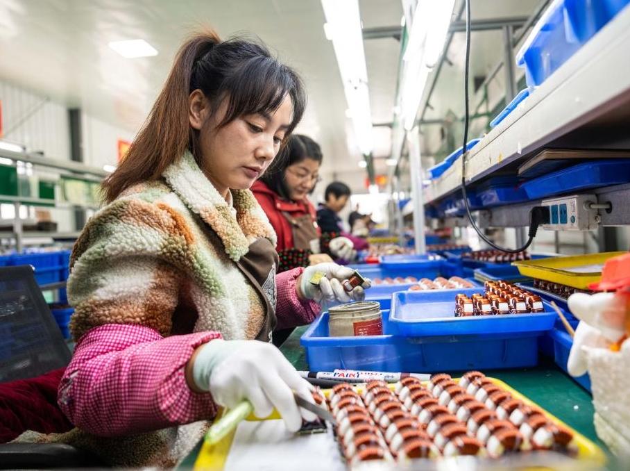 湖南桃源：建好鄉村車間 激活振興引擎