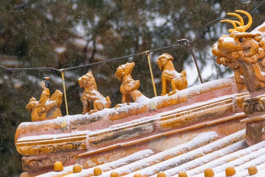 你等的故宮“雪景大片”，來了